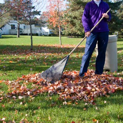 Landscape maintenance in Piscataway Township NJ 08817